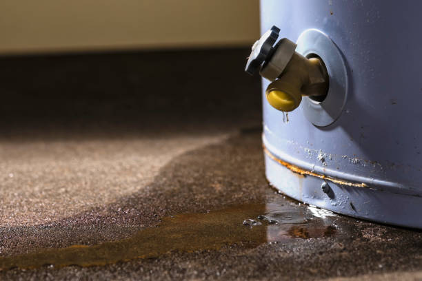 Best Mold removal after water damage  in Hutto, TX