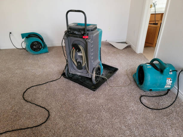 Best Residential water damage restoration  in Hutto, TX