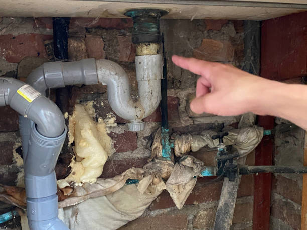 Best Professional water damage repair  in Hutto, TX